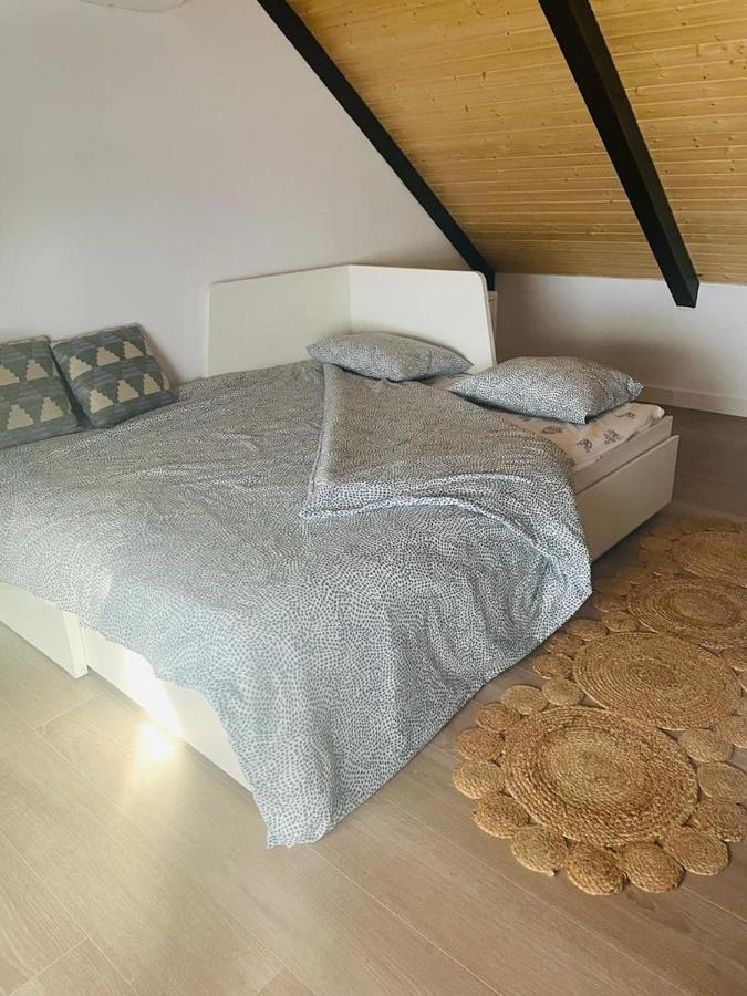 Precioso Apartamento Centrico Con Piscina Cordoba Dış mekan fotoğraf